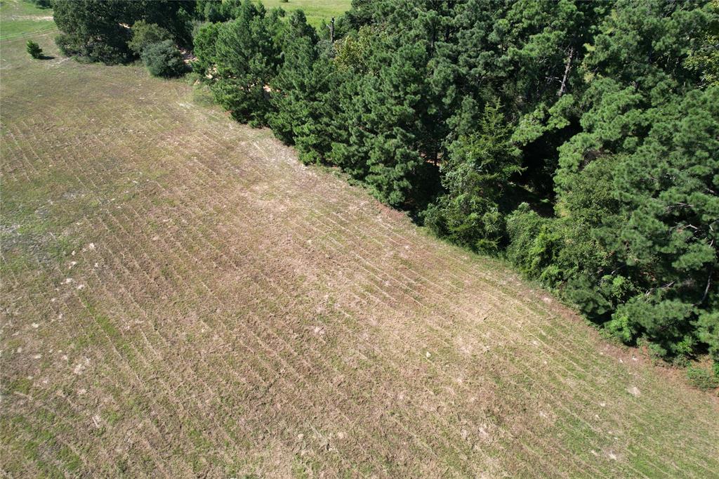 000 County Road 2345, Grapeland, Texas image 11