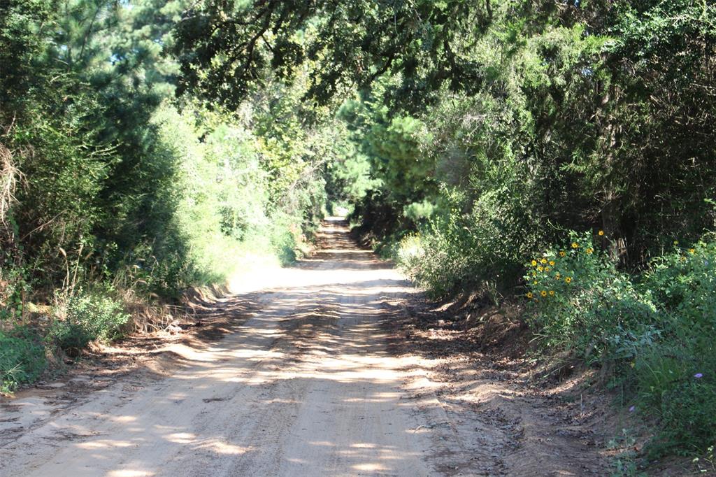 000 County Road 2345, Grapeland, Texas image 2