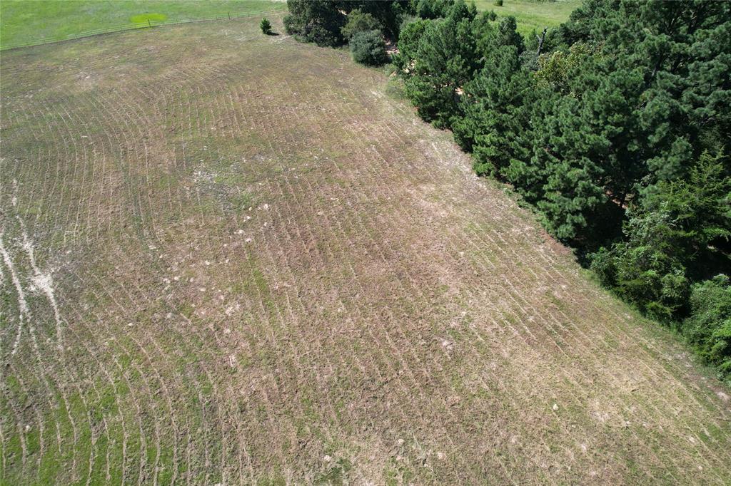 000 County Road 2345, Grapeland, Texas image 12