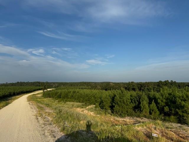 TBD Blackjack Road Tract 45, Livingston, Texas image 2