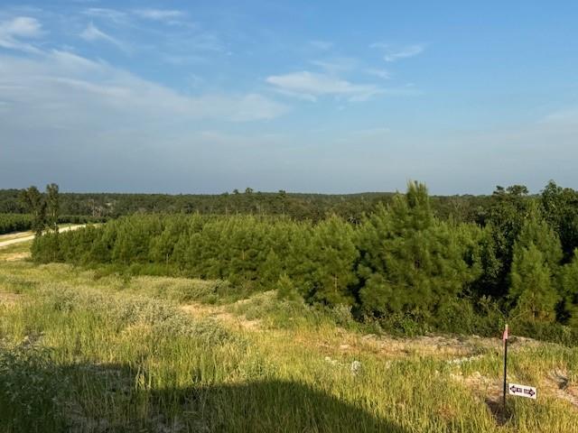 TBD Blackjack Road Tract 45, Livingston, Texas image 1