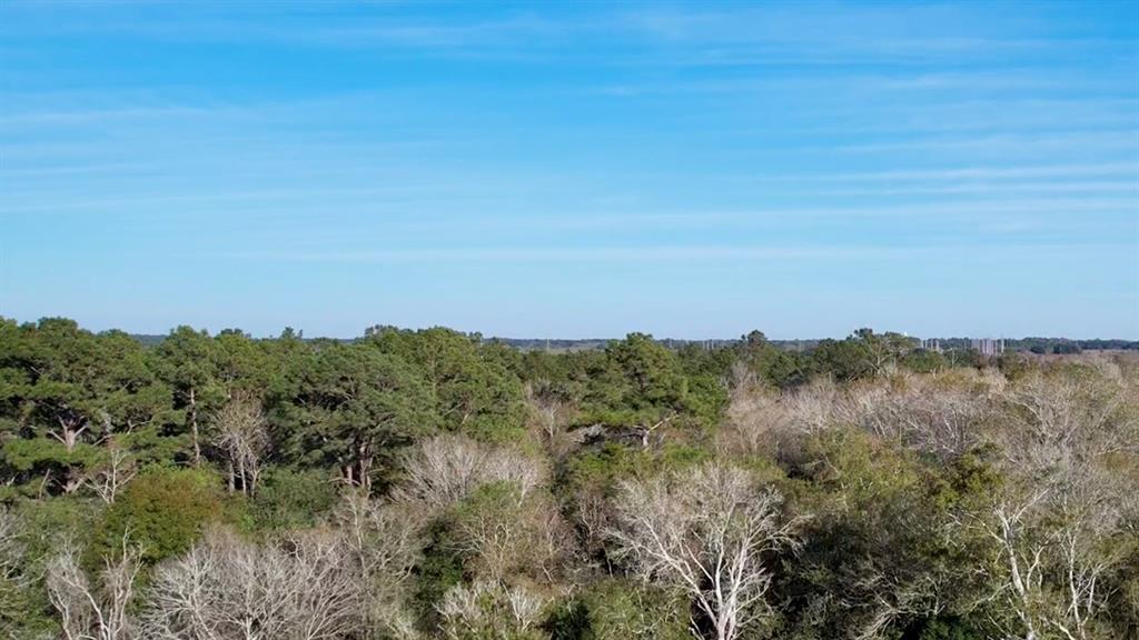 TBD Hwy 65, Stowell, Texas image 3