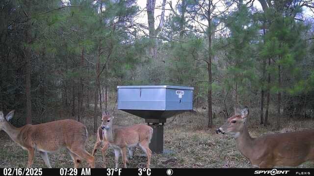 159 Echo Lane, Huntsville, Texas image 19