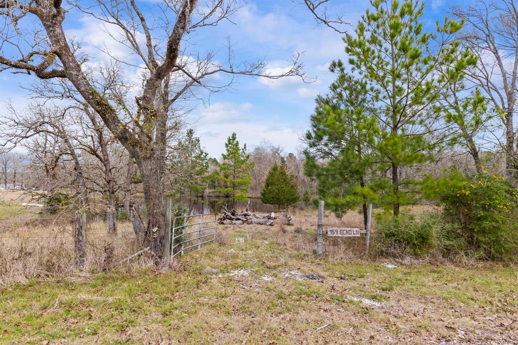 159 Echo Lane, Huntsville, Texas image 2