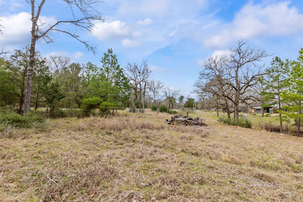 159 Echo Lane, Huntsville, Texas image 3
