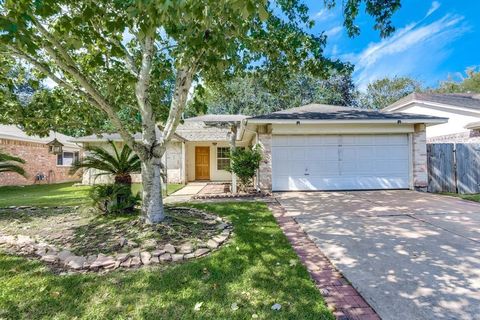 20070 Crazy Horse Circle Drive Katy TX 77449