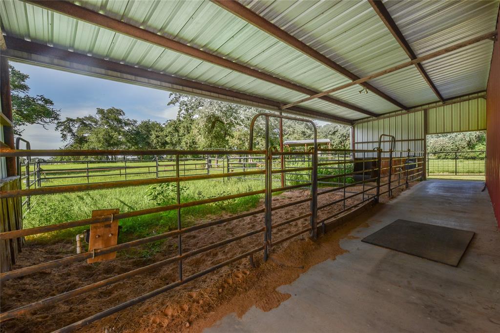 TBD County Road 315 -7 Acres, Caldwell, Texas image 8