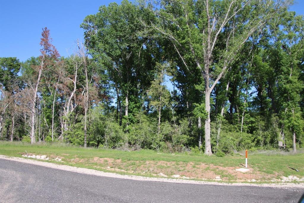 Wooded Reserve Court, Washington, Texas image 4