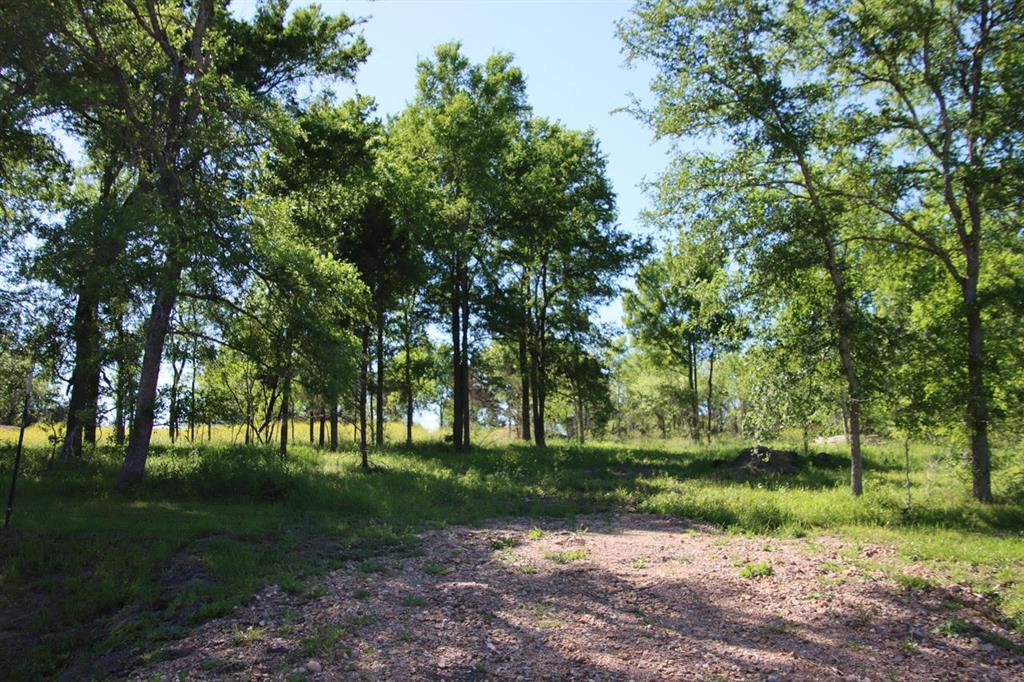 Wooded Reserve Court, Washington, Texas image 7