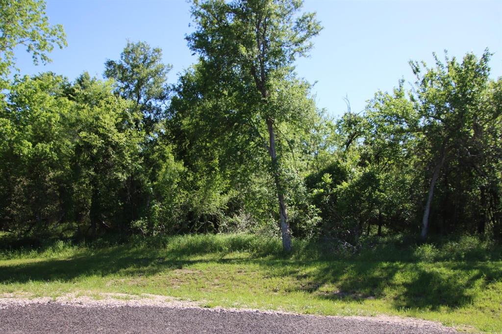 Wooded Reserve Court, Washington, Texas image 10