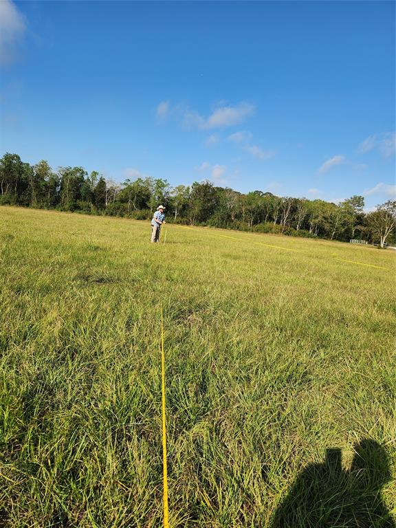 1810 Rymal Ranch Road, Alvin, Texas image 6