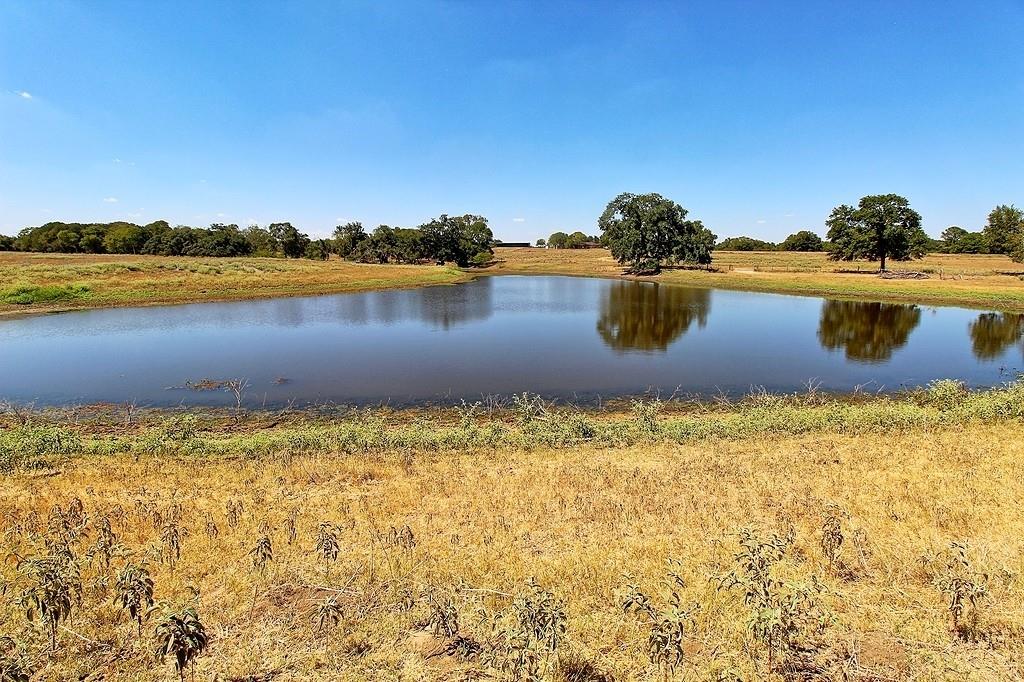 TBD County Road 245, Weimar, Texas image 11