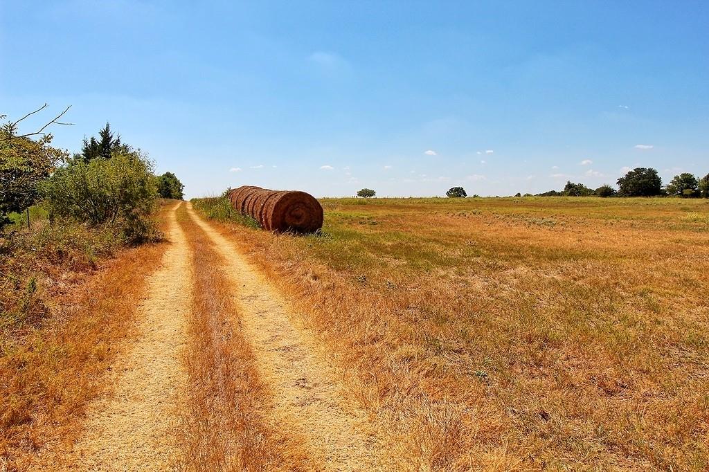 TBD County Road 245, Weimar, Texas image 19