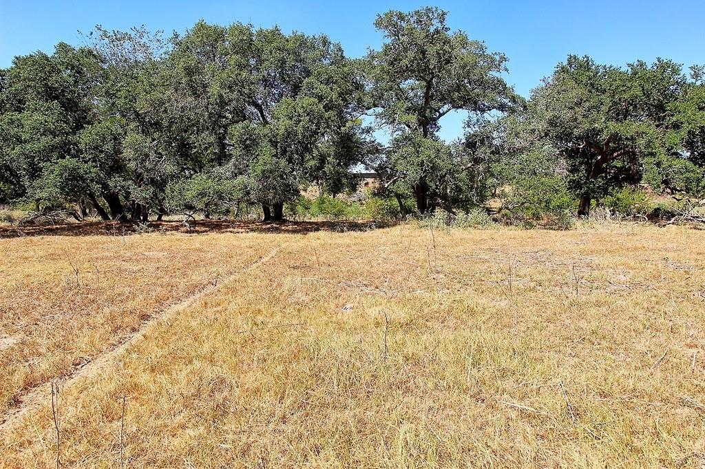 TBD County Road 245, Weimar, Texas image 6