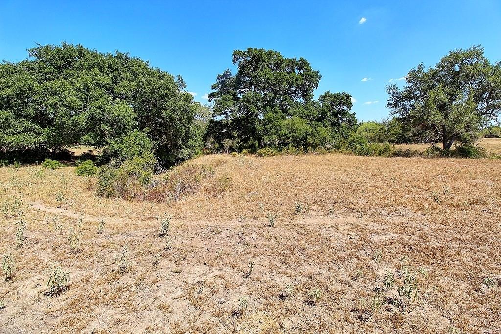 TBD County Road 245, Weimar, Texas image 18