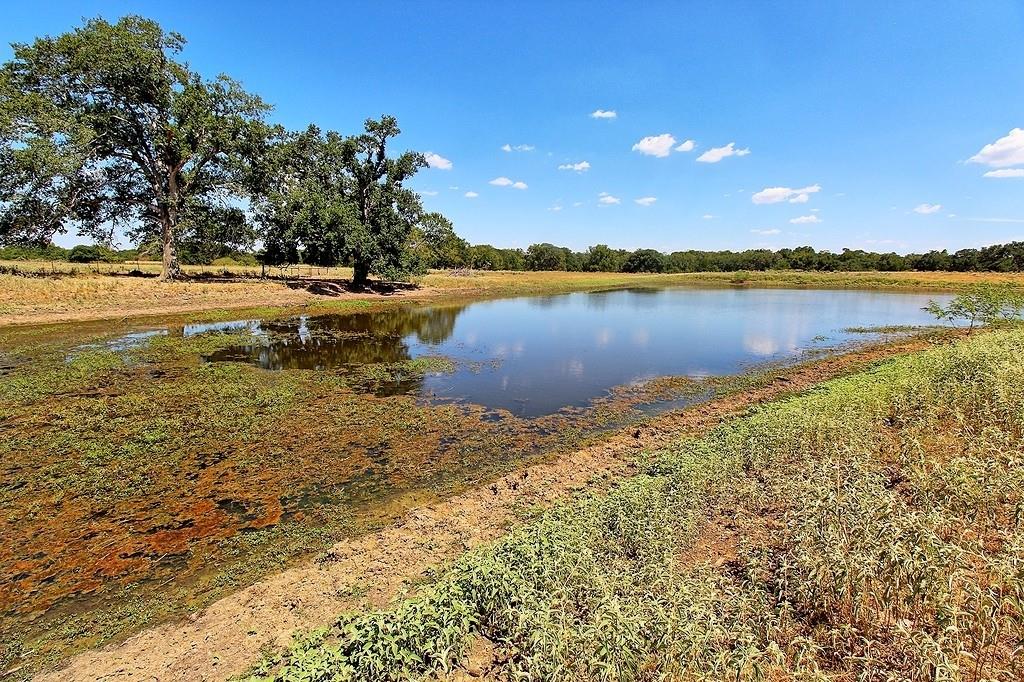 TBD County Road 245, Weimar, Texas image 13