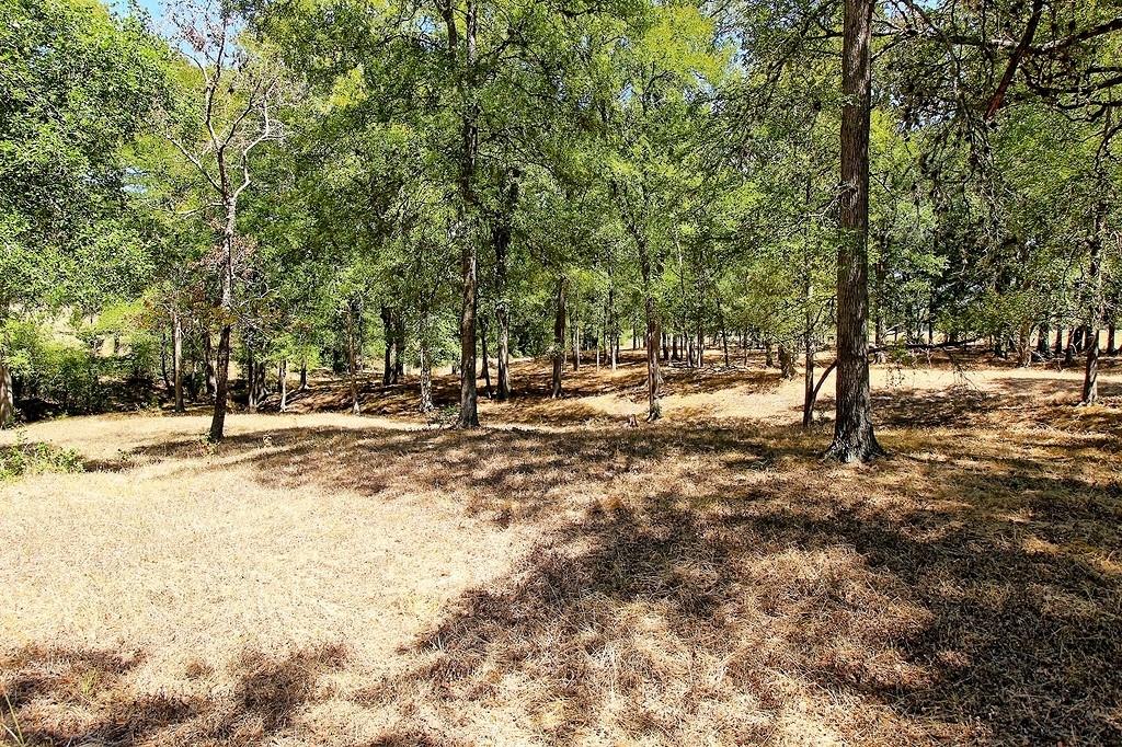 TBD County Road 245, Weimar, Texas image 14