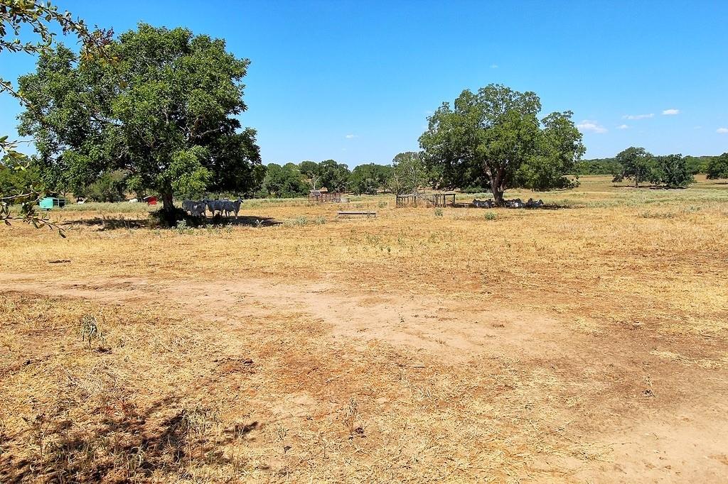 TBD County Road 245, Weimar, Texas image 24