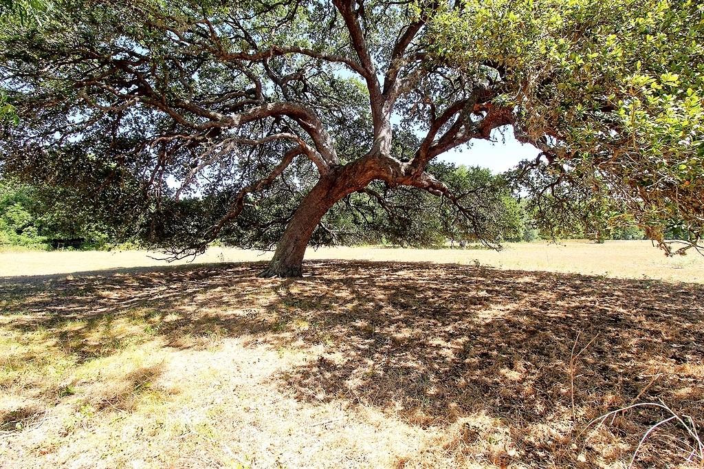 TBD County Road 245, Weimar, Texas image 2