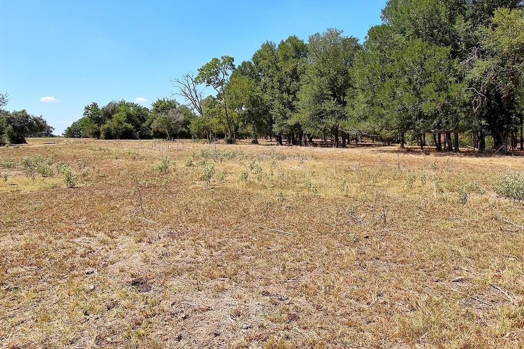 TBD County Road 245, Weimar, Texas image 23