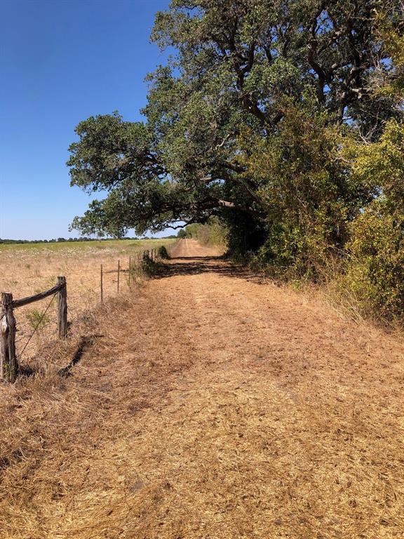 TBD County Road 245, Weimar, Texas image 25