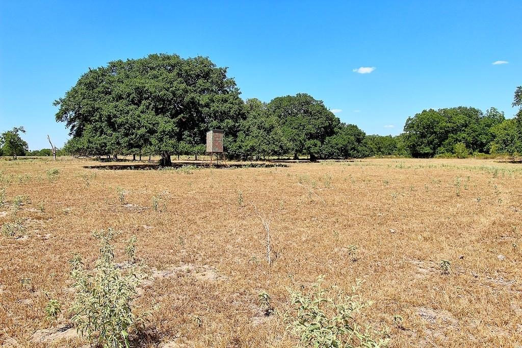 TBD County Road 245, Weimar, Texas image 8