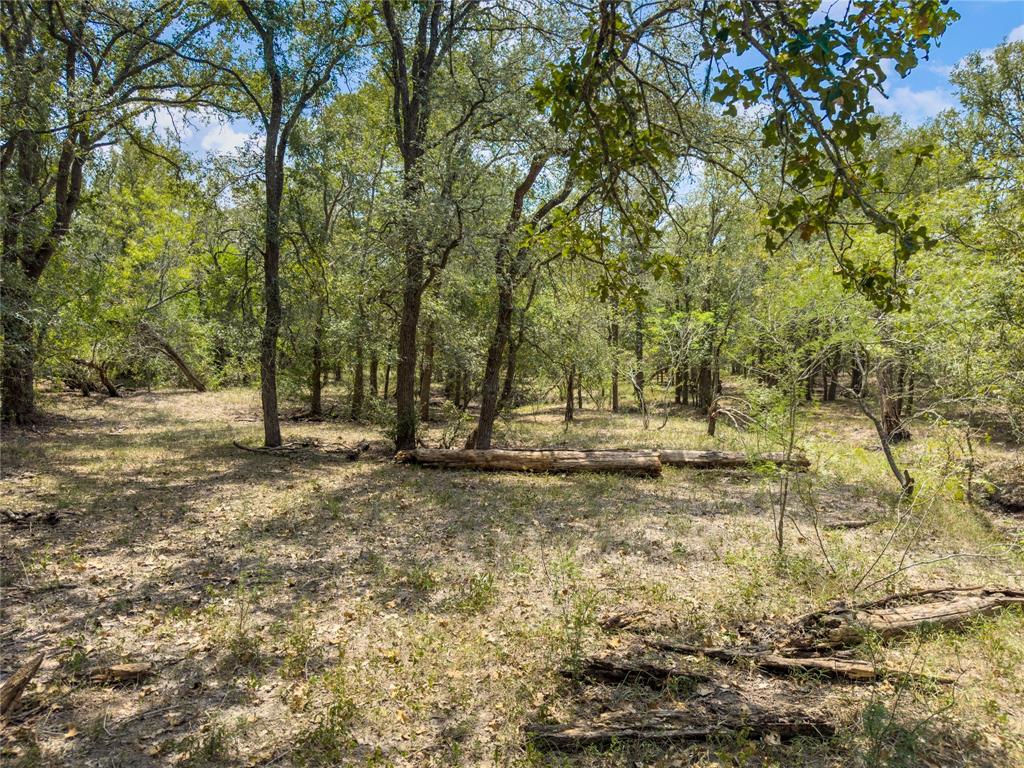 TBD Hwy 183 South, Gonzales, Texas image 6