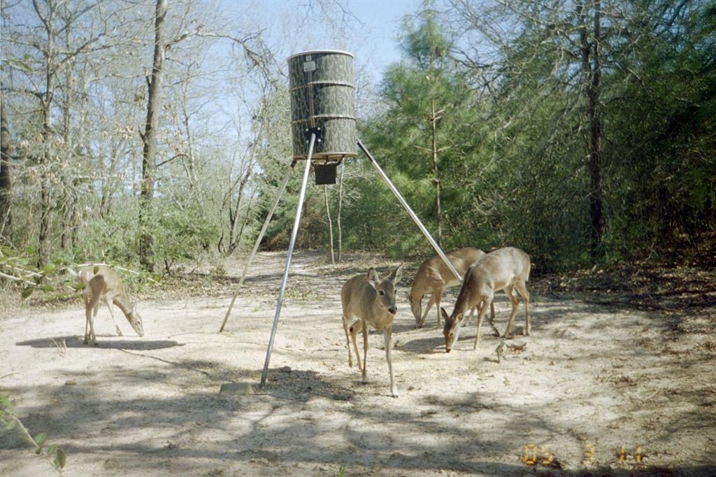 TBD County Road 300, Oakwood, Texas image 25