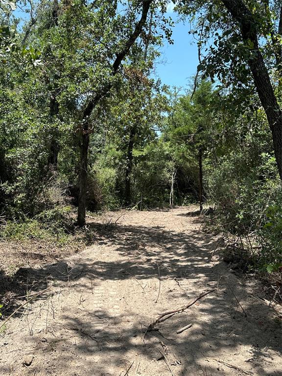 TBD County Road 300, Oakwood, Texas image 8