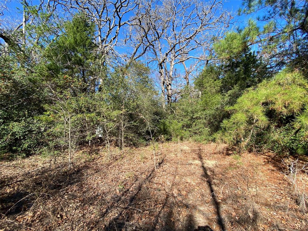 TBD County Road 300, Oakwood, Texas image 19