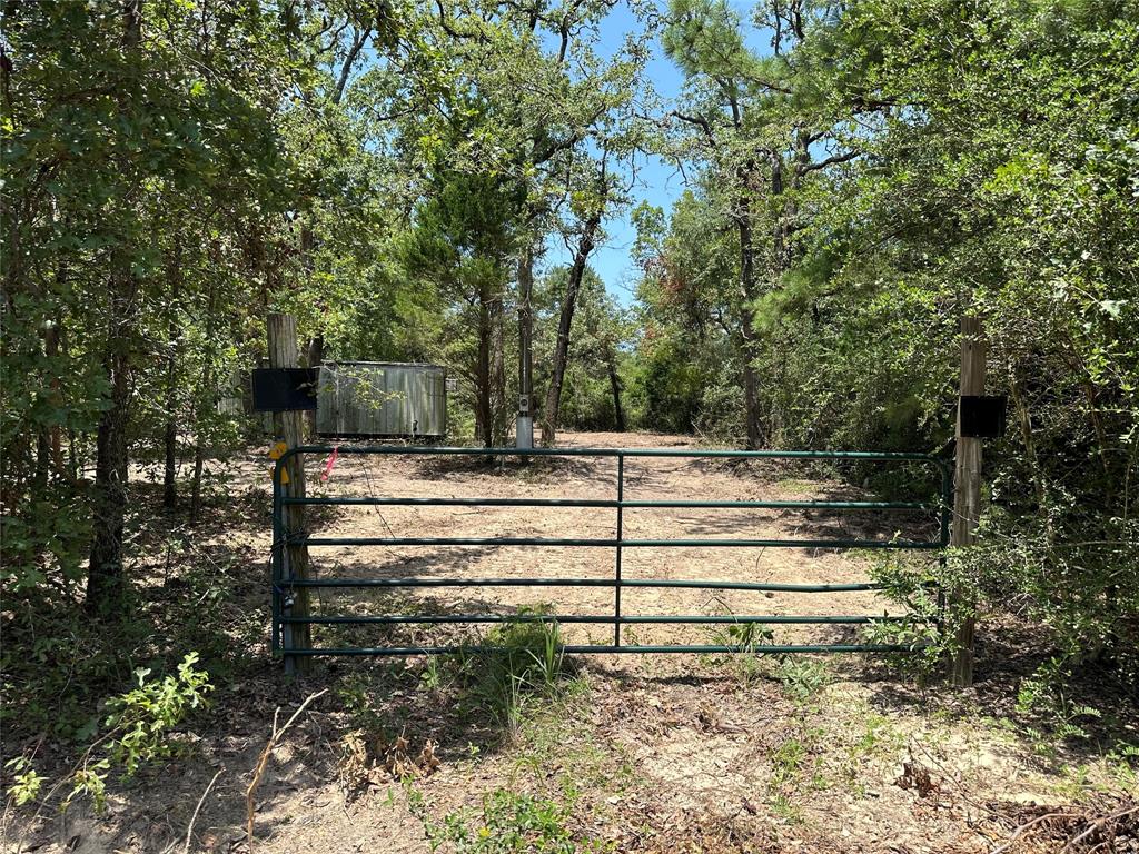 TBD County Road 300, Oakwood, Texas image 1