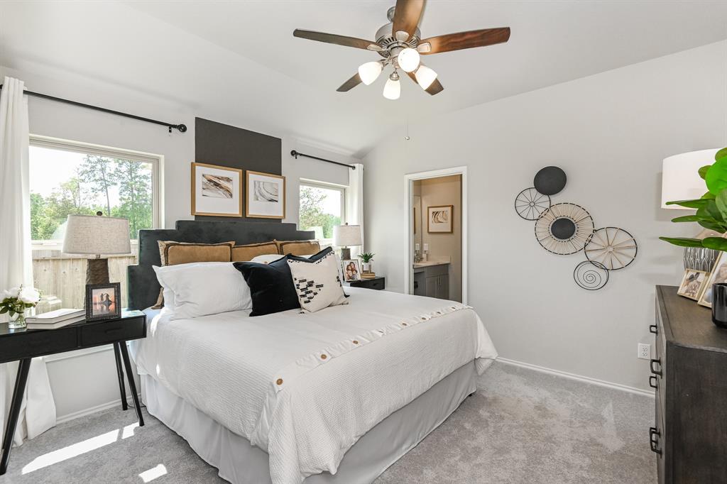 7914 Globe Thistle Lane, Houston, Texas image 19