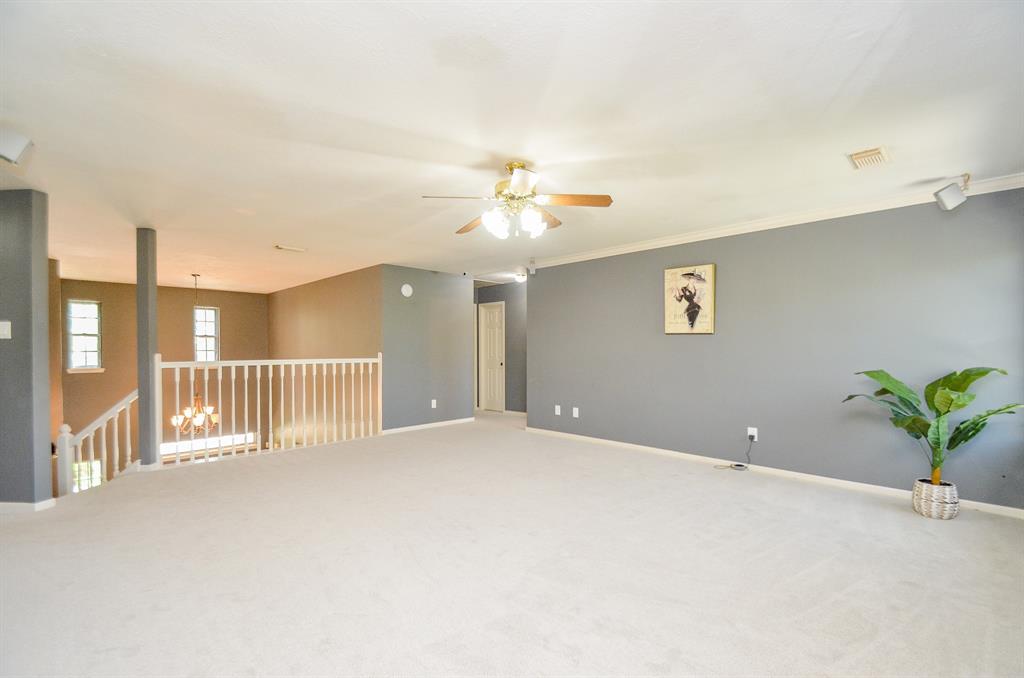 415 Wild Peach Place, Missouri City, Texas image 23