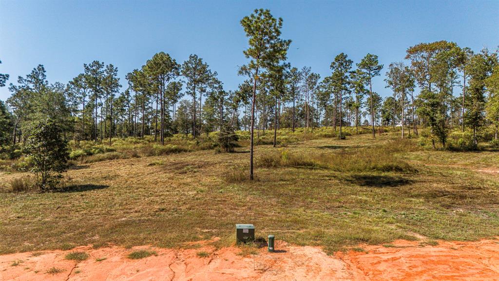 072 Western, Livingston, Texas image 7