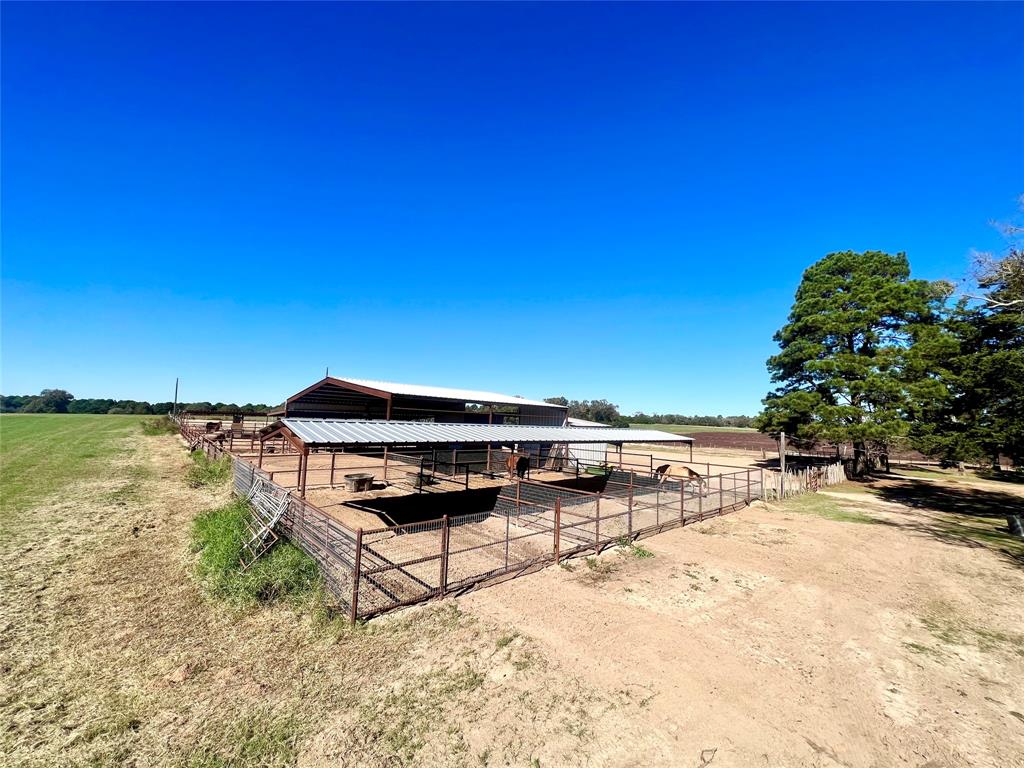 3519 County Road 2345, Grapeland, Texas image 4