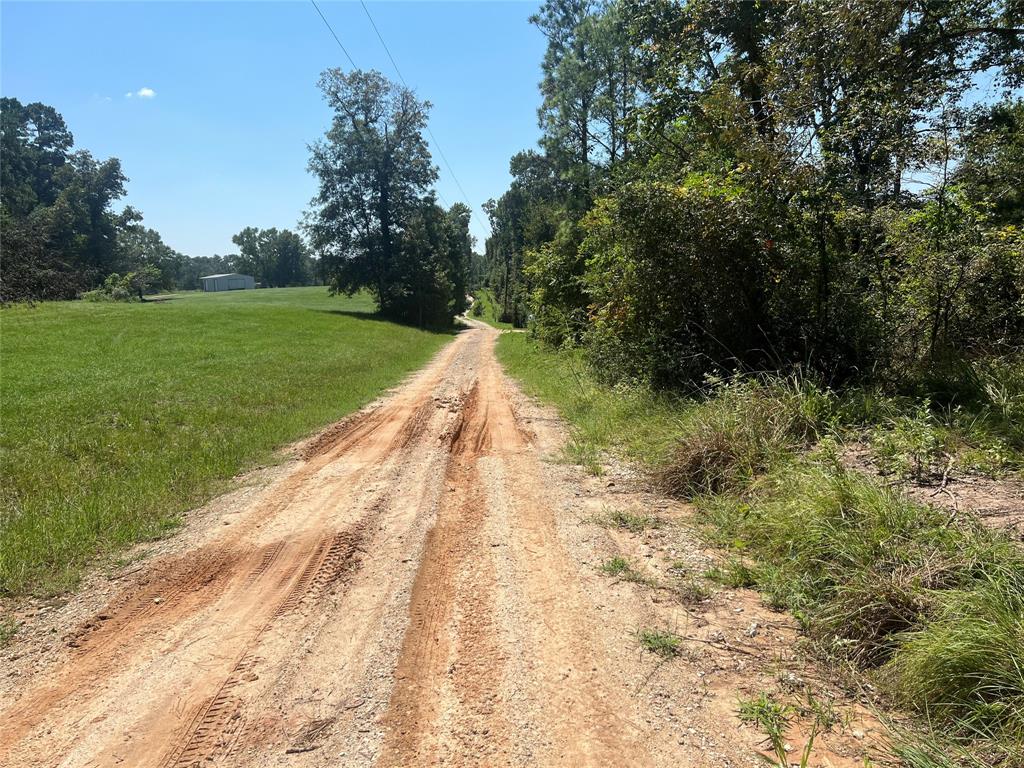 Hill Top Lane, Point Blank, Texas image 8