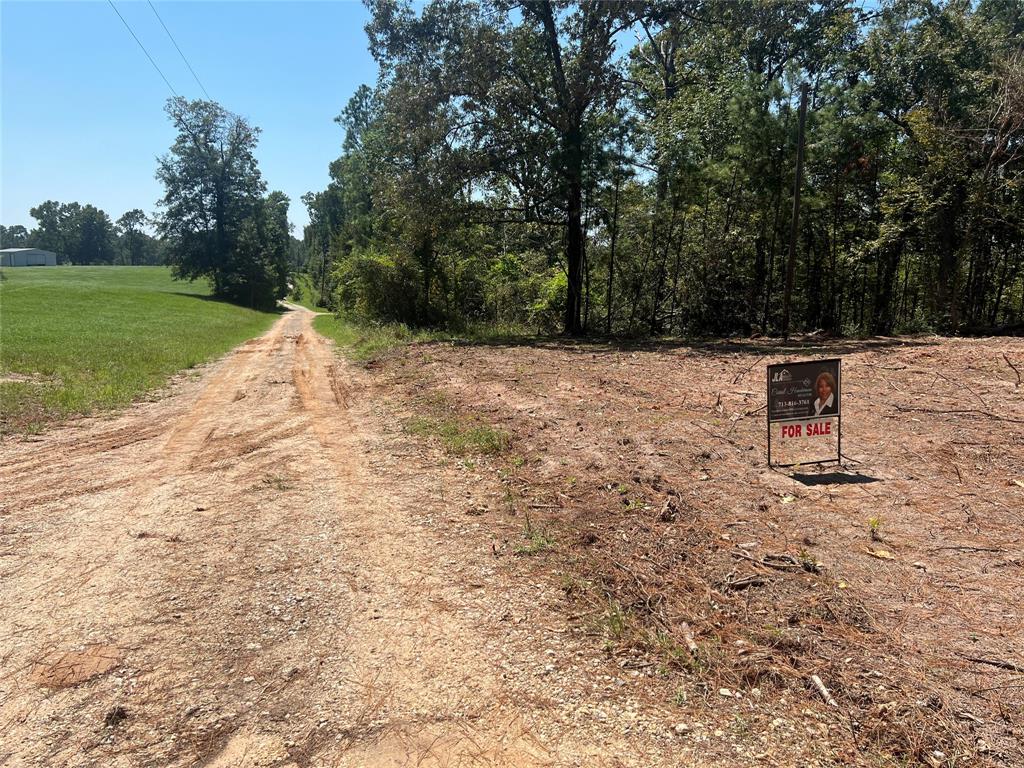 Hill Top Lane, Point Blank, Texas image 16