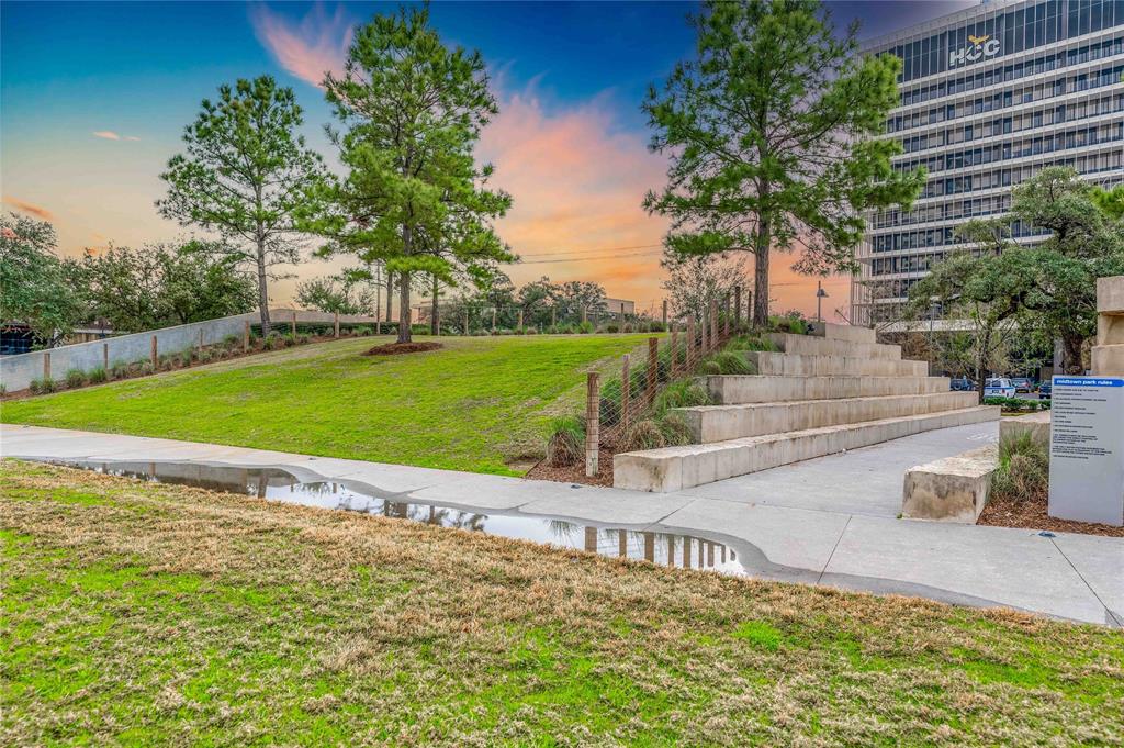 2510 Travis Street #301, Houston, Texas image 21