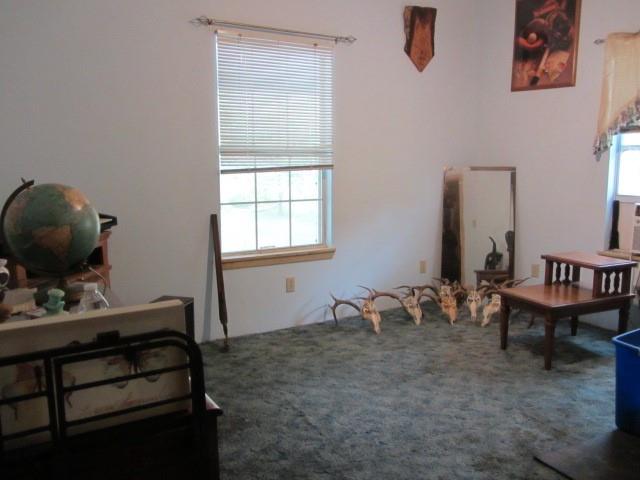 131 Stage Coach Trail, Angleton, Texas image 12