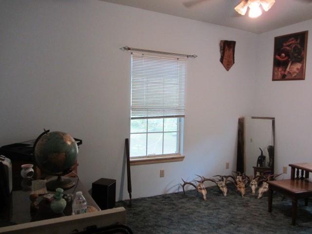 131 Stage Coach Trail, Angleton, Texas image 13