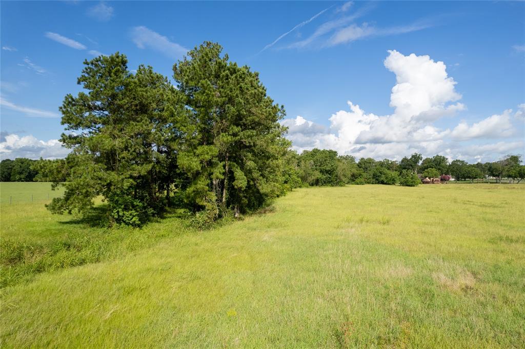 Mcguire Road, Liberty, Texas image 14