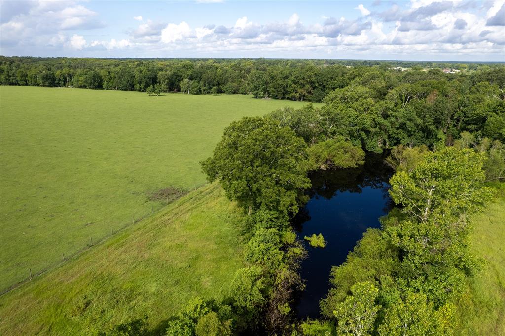 Mcguire Road, Liberty, Texas image 13