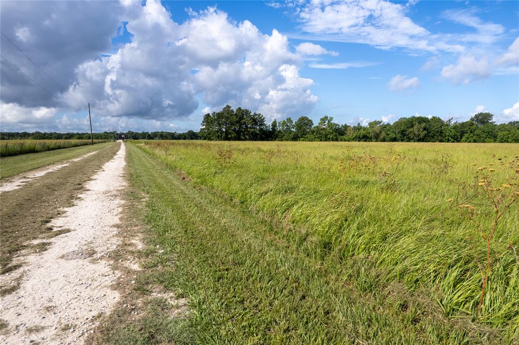 Mcguire Road, Liberty, Texas image 9