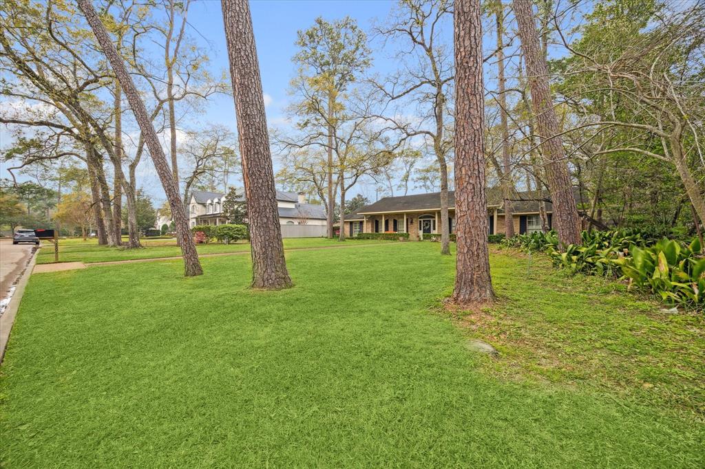 5001 Lamonte Lane #110, Houston, Texas image 4