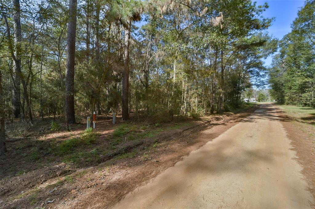 Bob Wahle Lane, Coldspring, Texas image 8