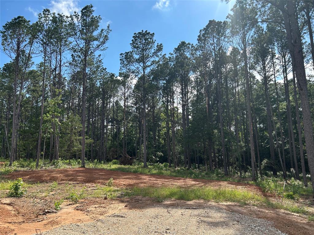 11339 Annie Creek Drive Dr, Willis, Texas image 1