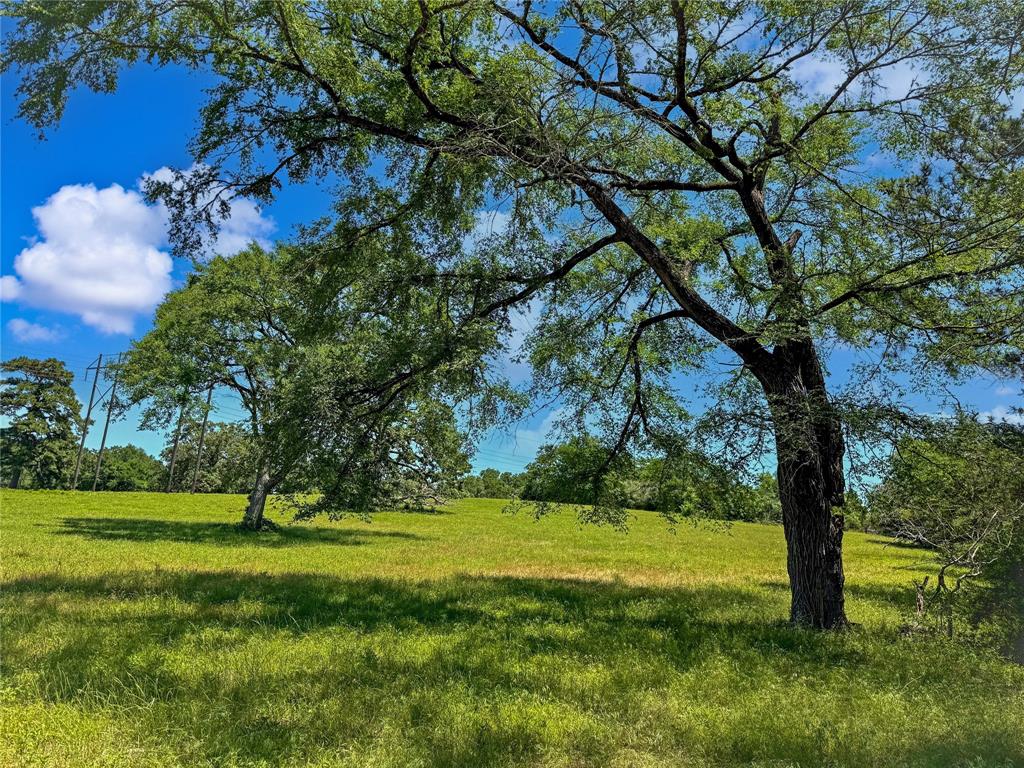 TBD County Rd 407, Navasota, Texas image 19