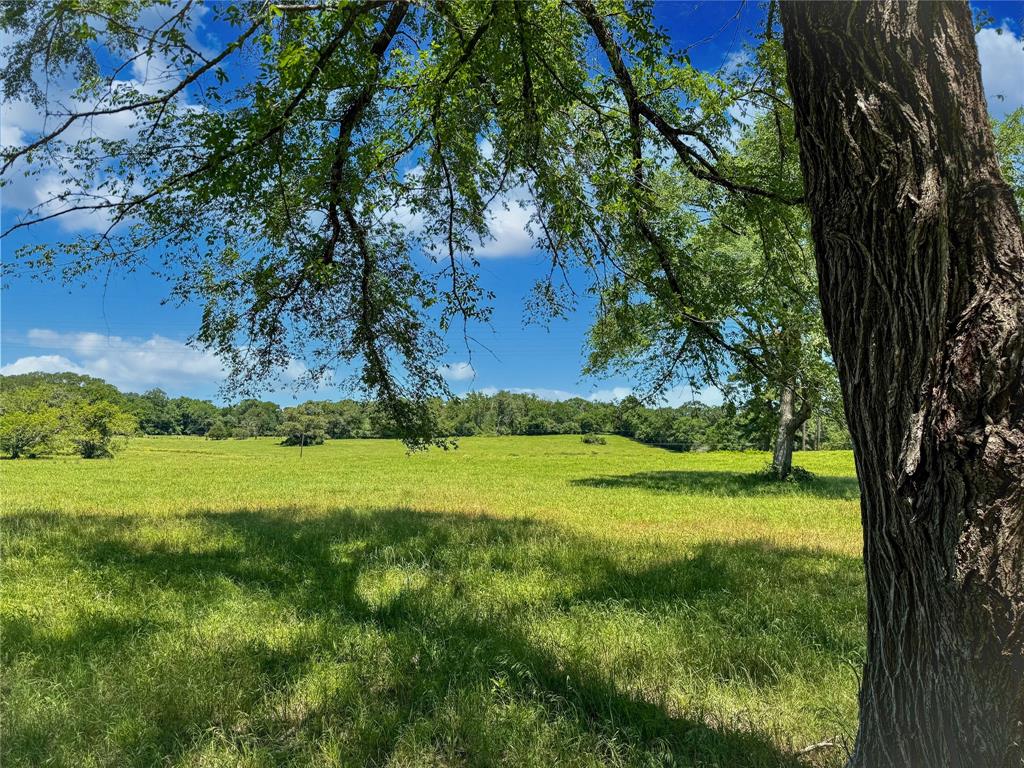TBD County Rd 407, Navasota, Texas image 20