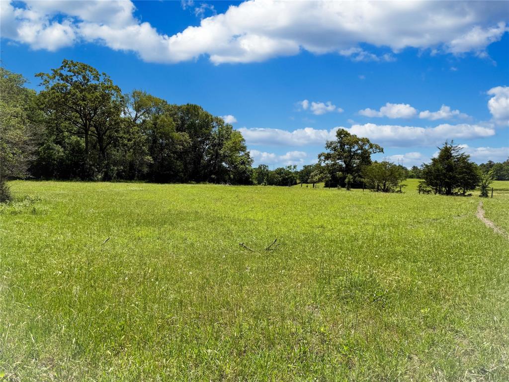 TBD County Rd 407, Navasota, Texas image 3
