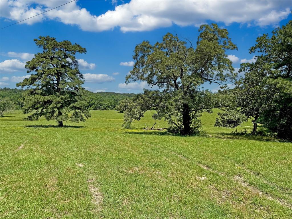 TBD County Rd 407, Navasota, Texas image 22